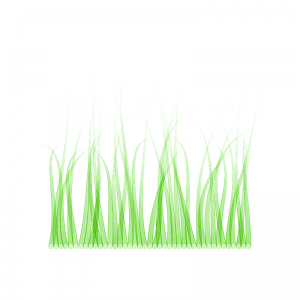 grass_01